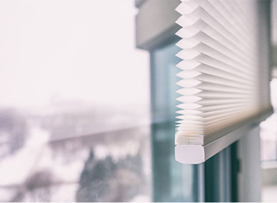 Roller Shade Motorized